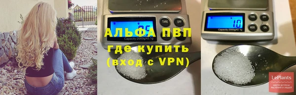 гашик Киренск