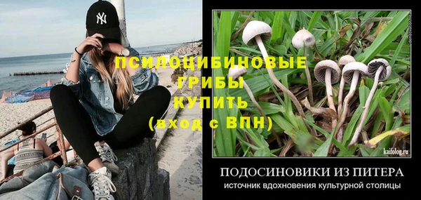 гашик Киренск